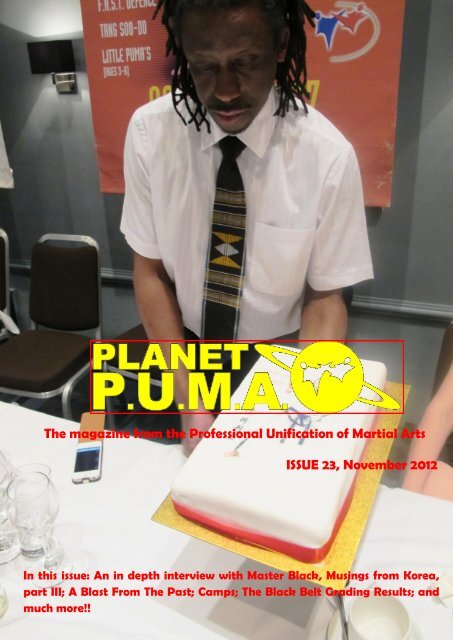Issue 23 - Professional Unification of Martial Arts