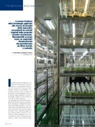 34-35-36 biotecnologie.pdf - Punto Effe