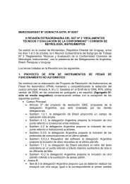 mercosur/sgt nÂº 3/cm/acta extr. nÂº 02/07 ii reuniÃ³n ... - Punto Focal