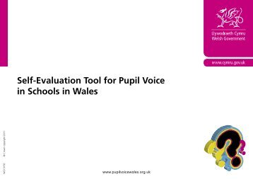 Self-Evaluation Tool for Pupil Voice in Schools in Wales
