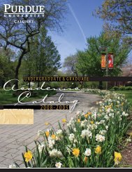 Academic Catalog 2008-2009 (Complete pdf file) - Purdue ...