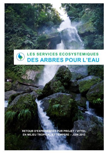 les services ecosystemiques des arbres pour l'eau - Pur Projet