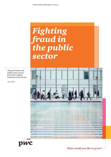 Controlling fraud in the public sector - PricewaterhouseCoopers