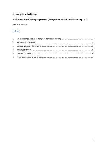 Ausschreibung Evaluierung final - Netzwerk Integration durch ...