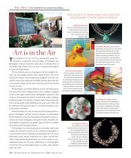 Artis in the Air - Quintessential Barrington Magazine