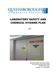 Chemical Hygiene Plan - Queensborough Community College ...