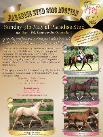 Paradise Stud 2010 Auction - Equestrian Queensland