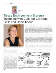 Tissue Engineering in Slovenia Treatment with ... - Quark Magazine