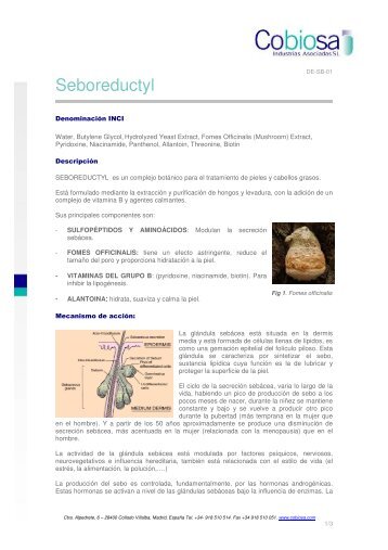 Seboreductyl - Quetzal Quimica