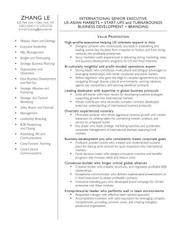 senior executive resume
