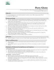 Sample Chrono-Functional Travel Consultant Resume