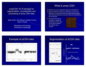 What is array CGH Example of aCGH data Segmentation of aCGH ...