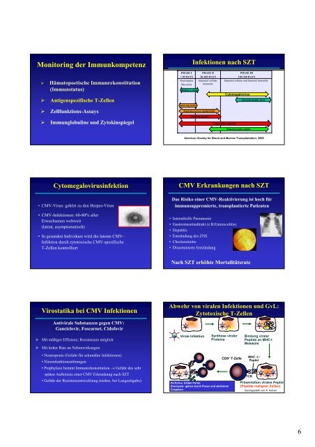 Knochenmarktransplantation, Immunrekonstruktion GvL und GvHD