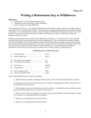 Writing a Dichotomous Key to Wildflowers