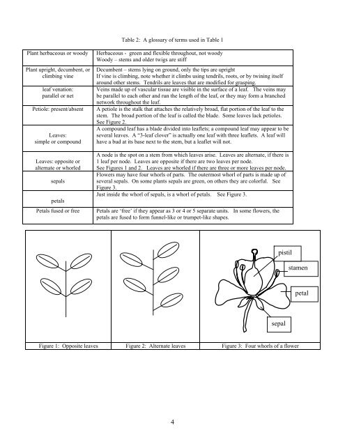 Writing a Dichotomous Key to Wildflowers