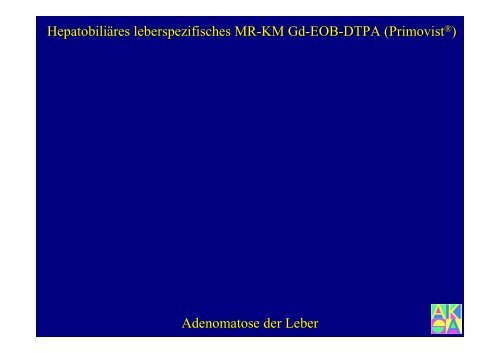 Bildgebung der Leber - Institut für Radiologie, Nuklearmedizin und ...