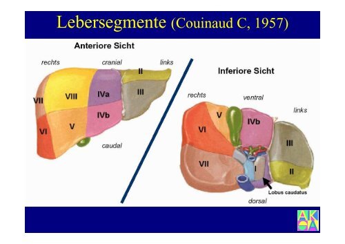 Bildgebung der Leber - Institut für Radiologie, Nuklearmedizin und ...