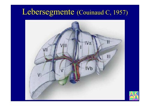 Bildgebung der Leber - Institut für Radiologie, Nuklearmedizin und ...