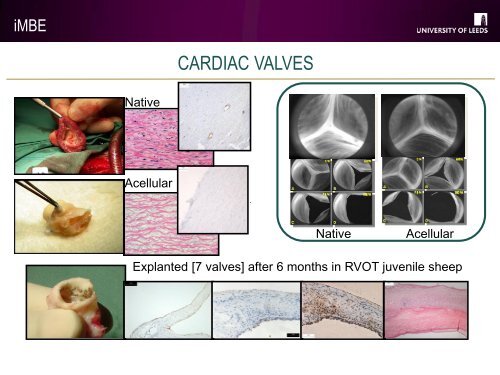 View presentation from Professor John Fisher