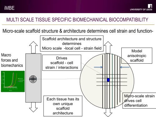 View presentation from Professor John Fisher