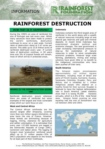RAINFOREST DESTRUCTION - Rainforest Foundation UK
