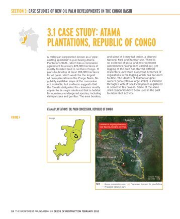 atama plantations, republic of congo - Rainforest Foundation UK