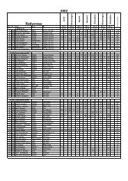 Rallycross 2002 - Rallycross info