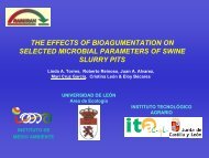 The effect of bioaugmentation on selected microbial ... - Ramiran
