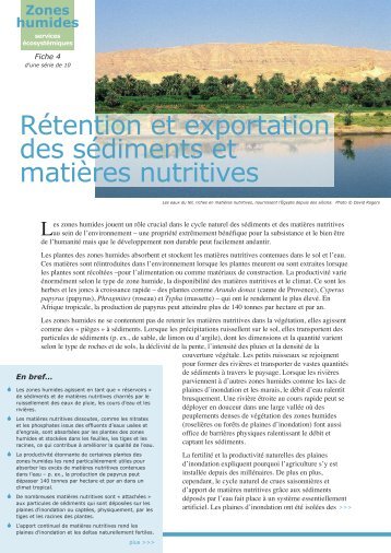 Rétention et exportation des sédiments et matières nutritives…