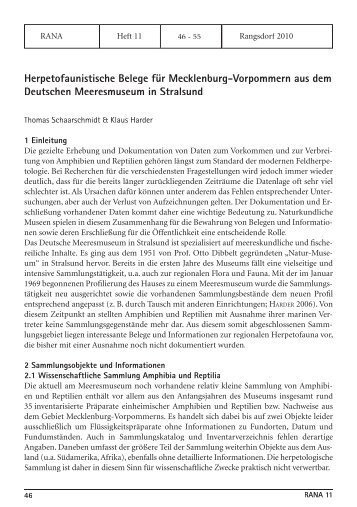 Herpetofaunistische Belege fÃ¼r Mecklenburg-Vorpommern ... - RANA