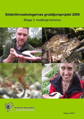 SÃ¶dertÃ¶rnsekologernas groddjursprojekt 2008