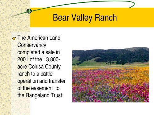 Board - The California Rangeland Trust