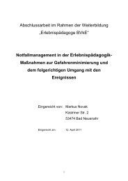 Markus Novak - Notfallmanagement in der ... - Raphaelshaus