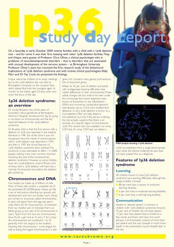 Illustrator Template - Unique - The Rare Chromosome Disorder ...