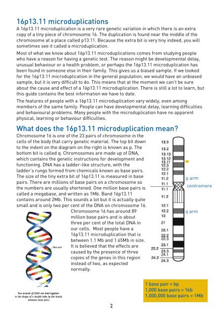 16p13.11 microduplications - Unique - The Rare Chromosome ...