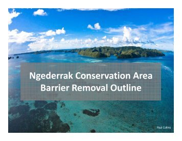 Ngederrak Conservation Area Barrier Removal Outline - RarePlanet