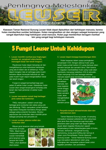 leaflet versi2.pub - RarePlanet