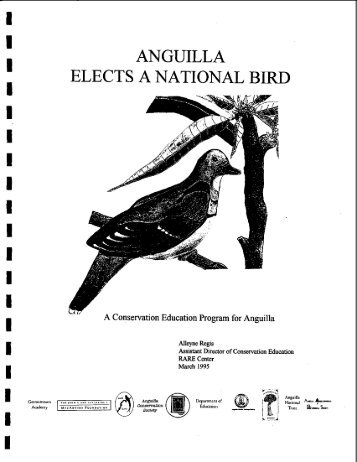 ANGUILLA ELECTS A NATIONAL BIRD - RarePlanet