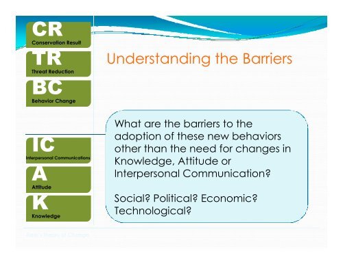 Simplified Campaign Theory of Change - RarePlanet