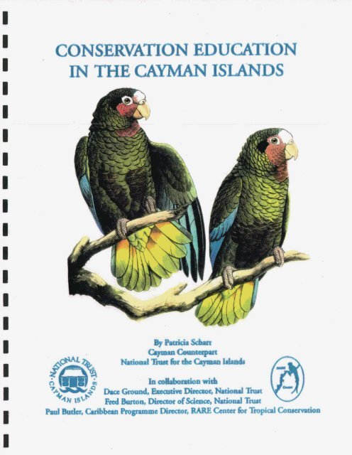 Cayman Parrots - RarePlanet