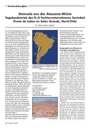 Steinsalz aus der Atacama-Wüste Tagebaubetrieb des K+ ... - RDB eV