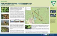 Naturwaldreservat Fichtelseemoor - Regierung von Oberfranken ...