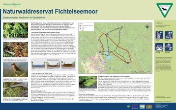 Naturwaldreservat Fichtelseemoor - Regierung von Oberfranken ...