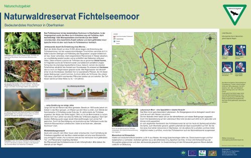 Naturwaldreservat Fichtelseemoor - Regierung von Oberfranken ...