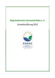 Umwelt-Zertifizierung - RegionalbÃ¼ndnis Soonwald-Nahe