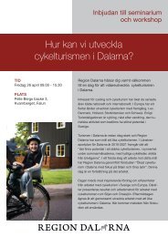 Hur kan vi utveckla cykelturismen i Dalarna? - Region Dalarna