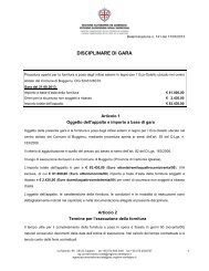 Disciplinare di gara [file.pdf] - Regione Autonoma della Sardegna