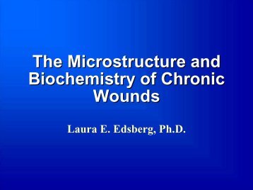 The Microstructure and Biochemistry of Chronic Wounds