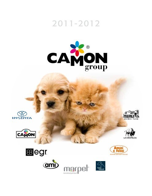 group - Camon