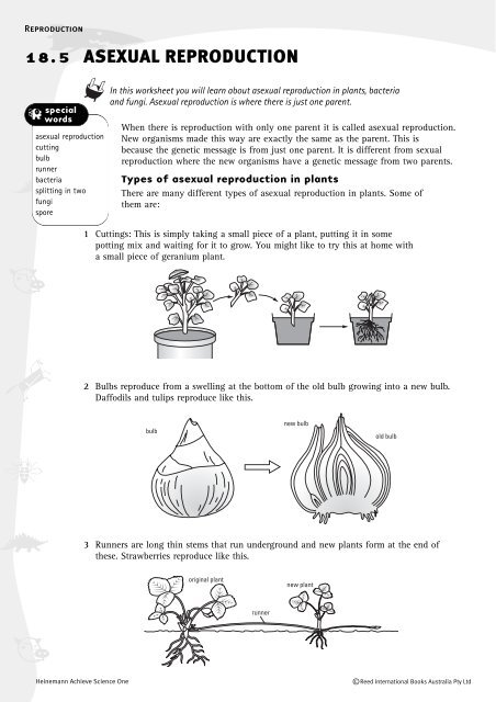 pdf worksheet reproduction animal Worksheet: Asexual reproduction pdf worksheet reproduction animal Worksheet: Asexual reproduction
